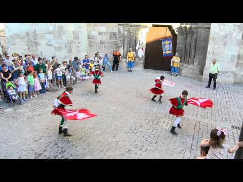 Tudela 2015 Desfile Barroco del Corpus clip 4/9 --- Grabado en 4K