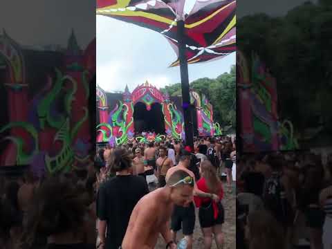 Terratronic - 2022 - Freedom Fighters