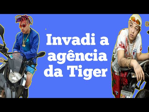 MC Alê e MC Modelo - Agência da Tiger (Letra Oficial)