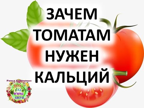 , title : 'Зачем нужен томатам кальций? Как обезопасить помидоры от вершинной гнили?'