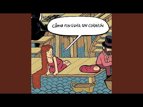 Cómo Funciona Un Corazón - Hazte Lapón
