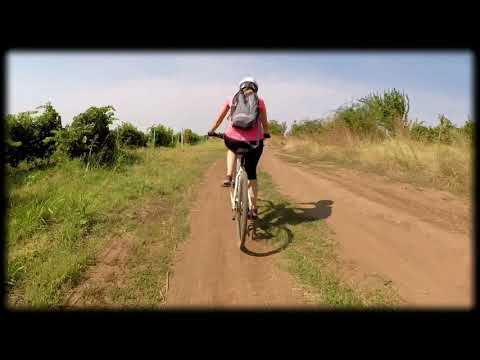 Bike & Wine - Fintesti