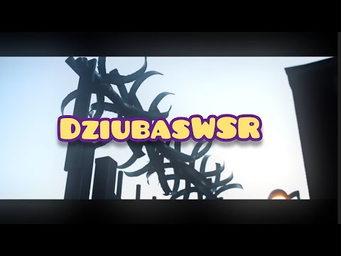DZIUBAS WSR - 01//2025r SOLO - HD 