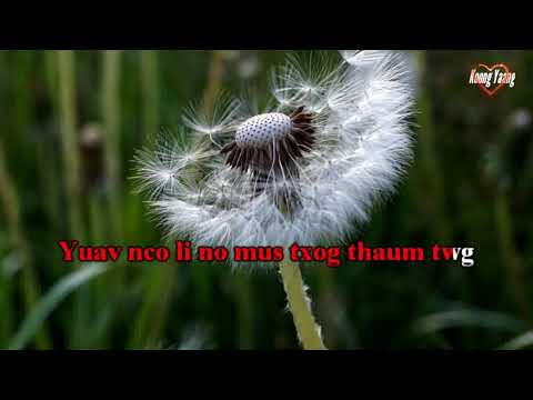 Yuav nco ntsoov instrumental /karaoke