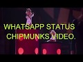 WHATSAPP STATUS CHIPMUNKS VIDEO SONG