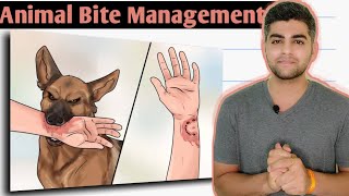 Manage Dog Bite at Home | How to treat a Dog Bite | Rabies Management | Dr. Akshay Kewlani