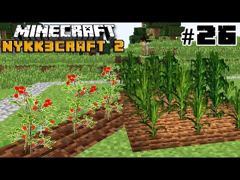 PIANTIAMO POMODORI E MAIS! #26 - MINECRAFT ITA NYKK3CRAFT S2 MOD