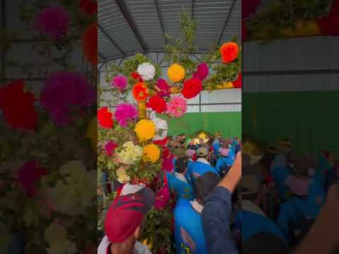 Folia de reis de santa helena de goias capitao itamar 04 01 2026