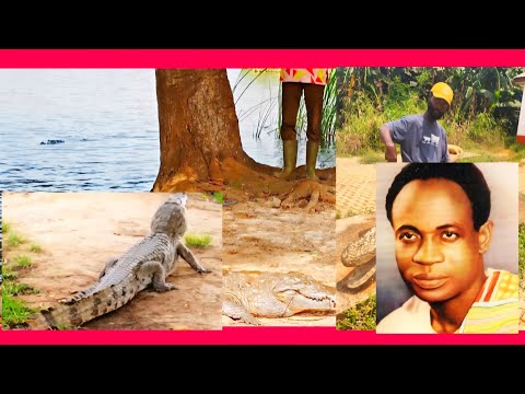 The True  Story Behind The Dam at Ave Dakpa #youtube 
