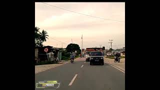 Download lagu ayam balap' oleng tipis:)😁 mp3