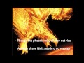 Let me fall - Josh Groban - Sub Esp