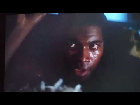 Wildcats - This Is Extortion