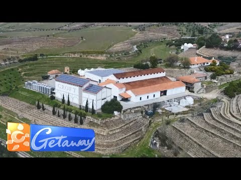 500-year-old Croft vineyard, Portugal | Getaway