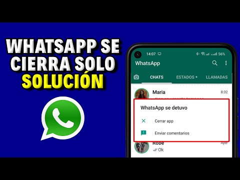 ¿Qué hacer si el problema persiste?