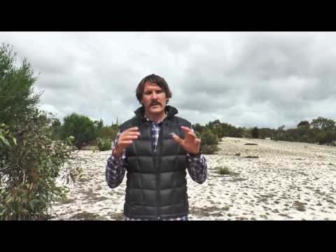 Rewilding the Desert: saving threatened species