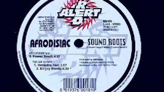 Afrodisiac - Sound Roots