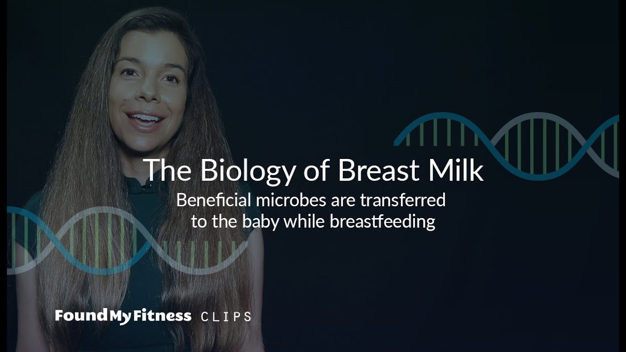 Beneficial microbes are transferred to the baby while breastfeeding | The Biology of Breast Milk