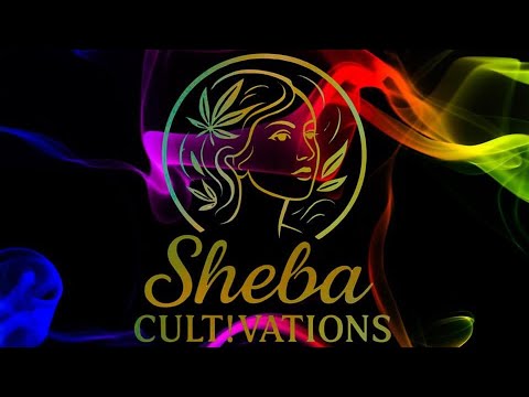 Breeding With Sheba Ep. 7