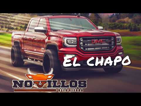 Novillos De La Sierra - El Corrido Del Chapo (En Vivo)