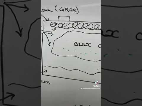 How a septic tank works