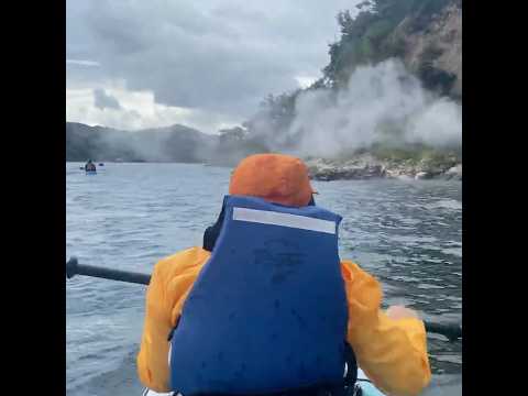 Steaming cliffs on the shore! #kayaking #geothermal #hotspring #newzealand