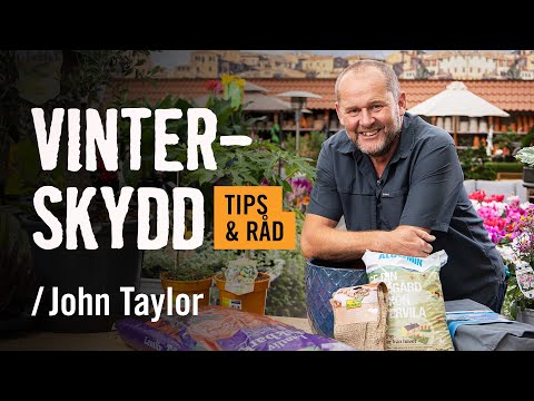 Skydda känsliga växter inför vintern /John Taylor | Tips & råd [HORNBACH]