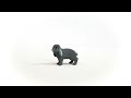Schleich figūrėlė Triušis ilgaausis