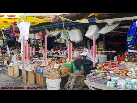 Celia Samaroo - Balamawa