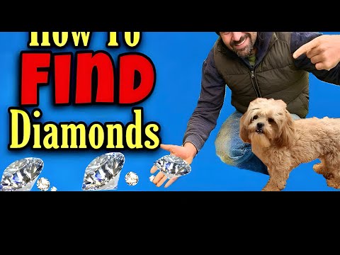 Actually Finding a Real Diamond Mining Arkansas Crater of Diamonds