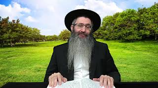וידאו לפרשת ויגש