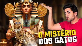 Eles Mandavam nos Faraós: A Louca História dos Gatos no Egito