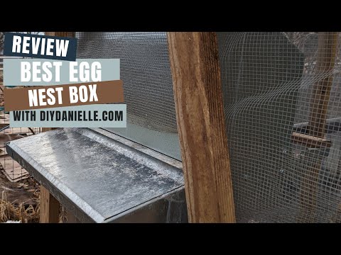 The Best Egg Nest Box: A MUST HAVE for Every Chickenkeeper