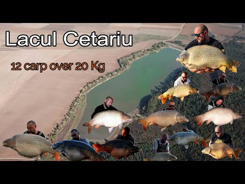 Cetariu Lake - Lacul Cetariu „ Valea vițeilor” by Rappa FK