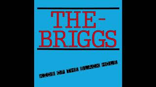 The Briggs - Kids Of The Black Hole (Adolescents Cover)