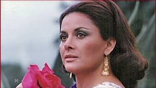 Hace un año que yo tuve una ilusión ❣️ Maria de Lourdes