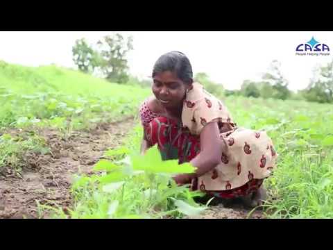 download lagu mp3 mp4 Self Help Groups In Maharashtra, download lagu Self Help Groups In Maharashtra gratis, unduh video klip Self Help Groups In Maharashtra