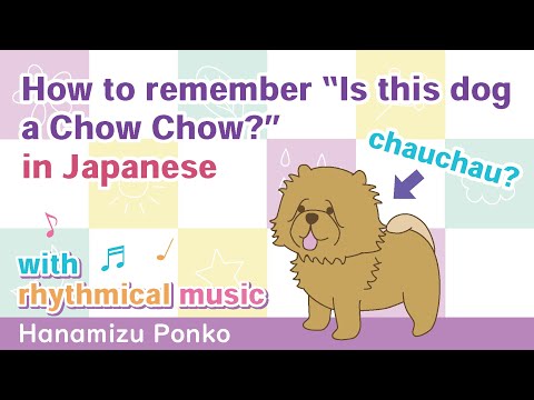 Learning Japanese ★chauchaucahuchau? ★Chow Chow song  #shorts