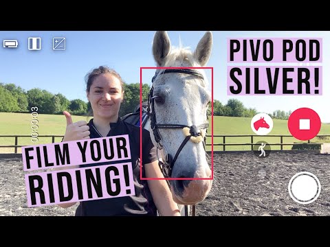 HOW TO FILM YOUR HORSE RIDING VIDEOS WITH PIVO POD SILVER | UK Equestrian YouTuber | Riding With Rhi