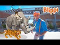 Blippi Visits Zoo Animals Learn About Animals For Kids Blippi Educational Videos For Kids