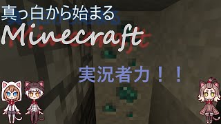 【ゆっくり実況】真っ白からはじまるMinecraft