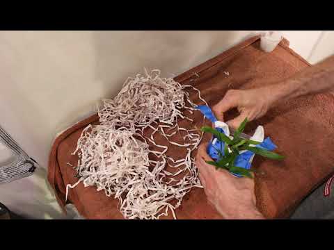 Unboxing New Orchids From Michael McCarthy #itsmichaelmccarthysfault