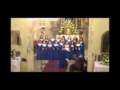 Zbor mladih župe Lobor - Pravo lice