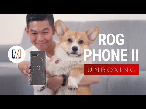 Complete ROG Phone 2 Ultimate & Accessories Unboxing