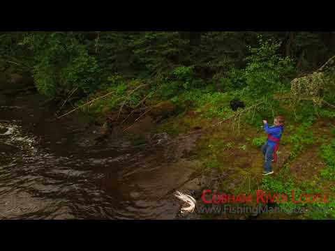 Rapids Fishing at Cobham River Lodge, Manitoba Canada