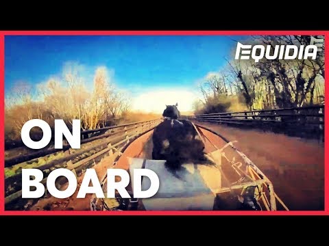 DANS LE SULKY DE BOLD EAGLE ! | On Board
