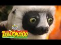 Zoboomafoo 225 Brain Power Full Episode