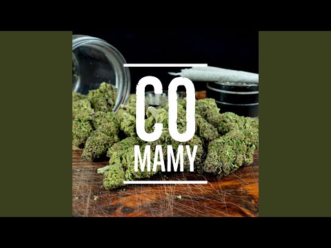 Co Mamy (Ponglish 3)