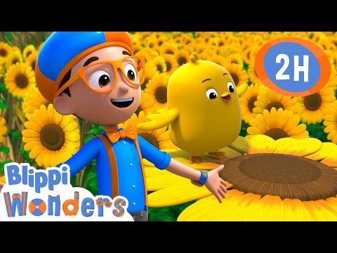 Spring Chick | Blippi Wonders | Preschool Learning | Moonbug Tiny TV