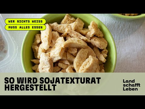 So wird Soja-Texturat hergestellt
