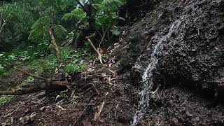 Water flows from rocky cliff in tropical forest sounds